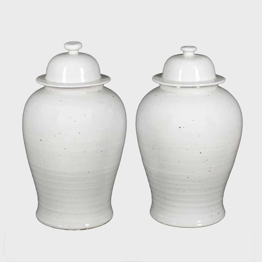 Pair of two white Chinese Ceramic Vases with Lid by China Tibet - Fp Art Online