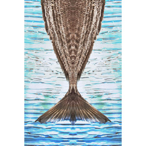 Pesce Coda Riflesso - Digital photo, hires print on fine art paper by Lombrici Fabio - Fp Art Online