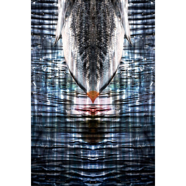 Pesce Riflesso