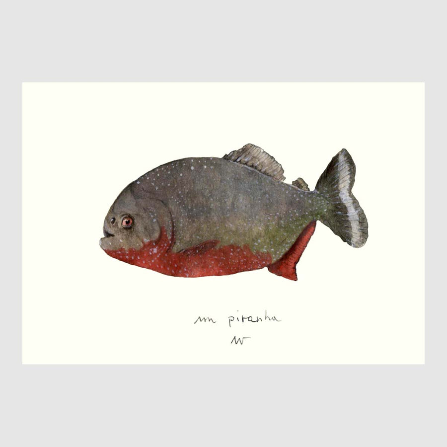 Colored Fish Placemats with waterproof print pencil drawing by Placemats - Fp Art Online