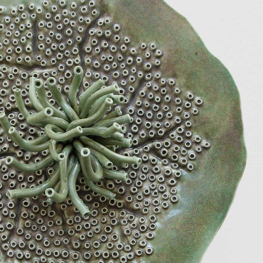 Porifera Green Wall Decoration - Handmade porcelain sculpture by FOS Ceramics - Fp Art Online