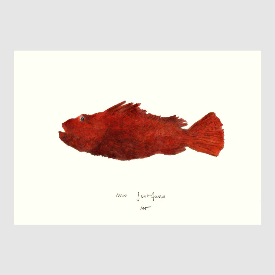 Colored Fish Placemats with waterproof print pencil drawing by Placemats - Fp Art Online