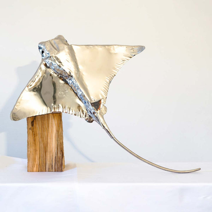Rhinoptera 50 - Stainless steel sculpture by Bozzo Luca - Fp Art Online