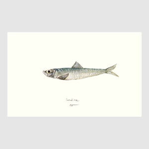 Sardine Placemats with waterproof print pencil drawing by Placemats - Fp Art Online