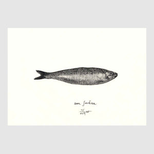 Sardine Placemats with waterproof print pencil drawing by Placemats - Fp Art Online