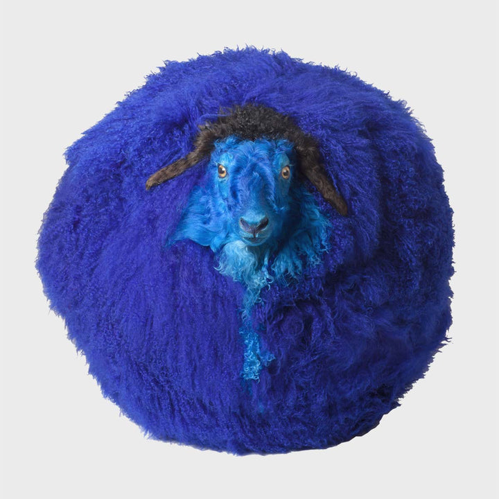 Sheep n.16, Dyed and inflated sheepskin sculpture by Maoyuan Yang - Fp Art Online