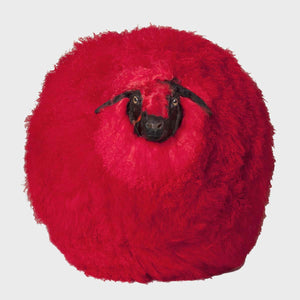 Sheep n.21, Dyed and inflated sheepskin sculpture by Maoyuan Yang - Fp Art Online
