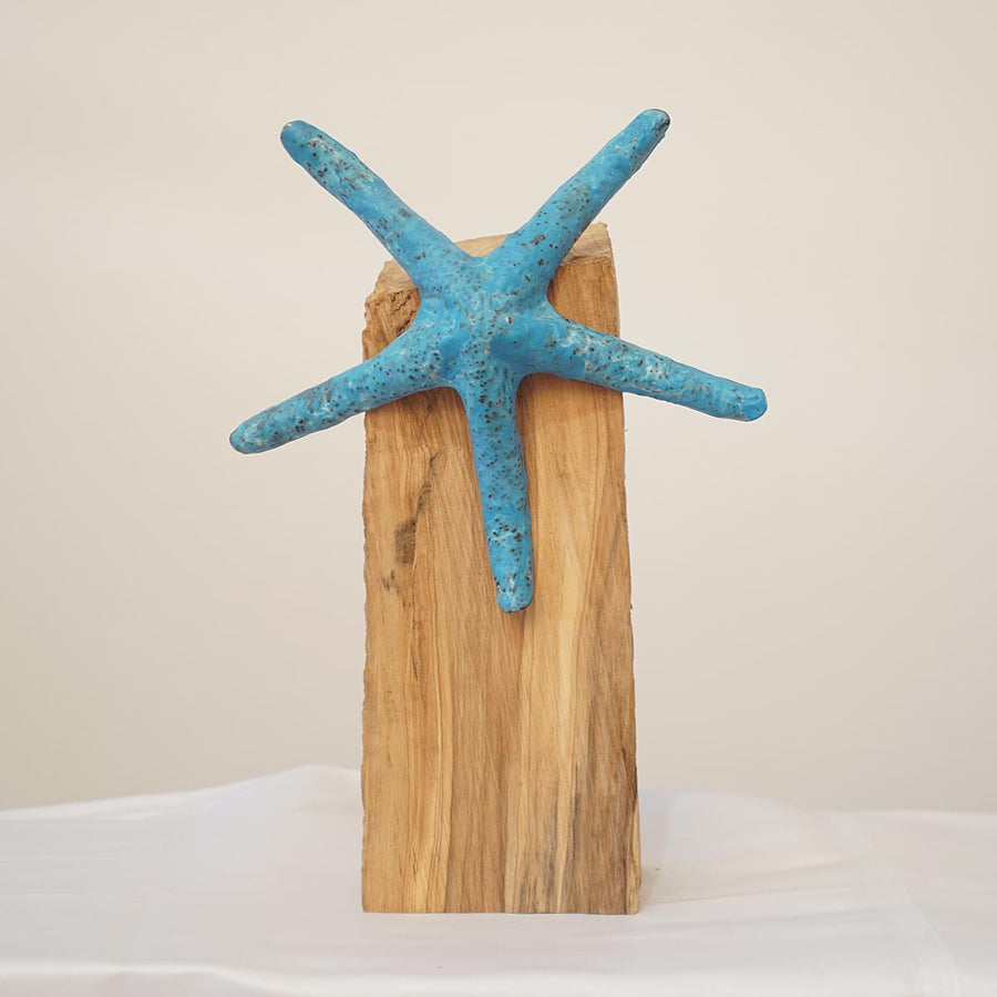 Stella Marina 26 - Iron sculpture with light blue wax encaustic technique by Bozzo Luca - Fp Art Online
