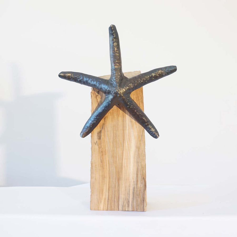 Stella Marina 28 - Iron sculpture with night blue wax encaustic technique by Bozzo Luca - Fp Art Online