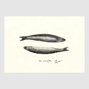 Anchovy Placemats with waterproof print pencil drawing by Placemats - Fp Art Online