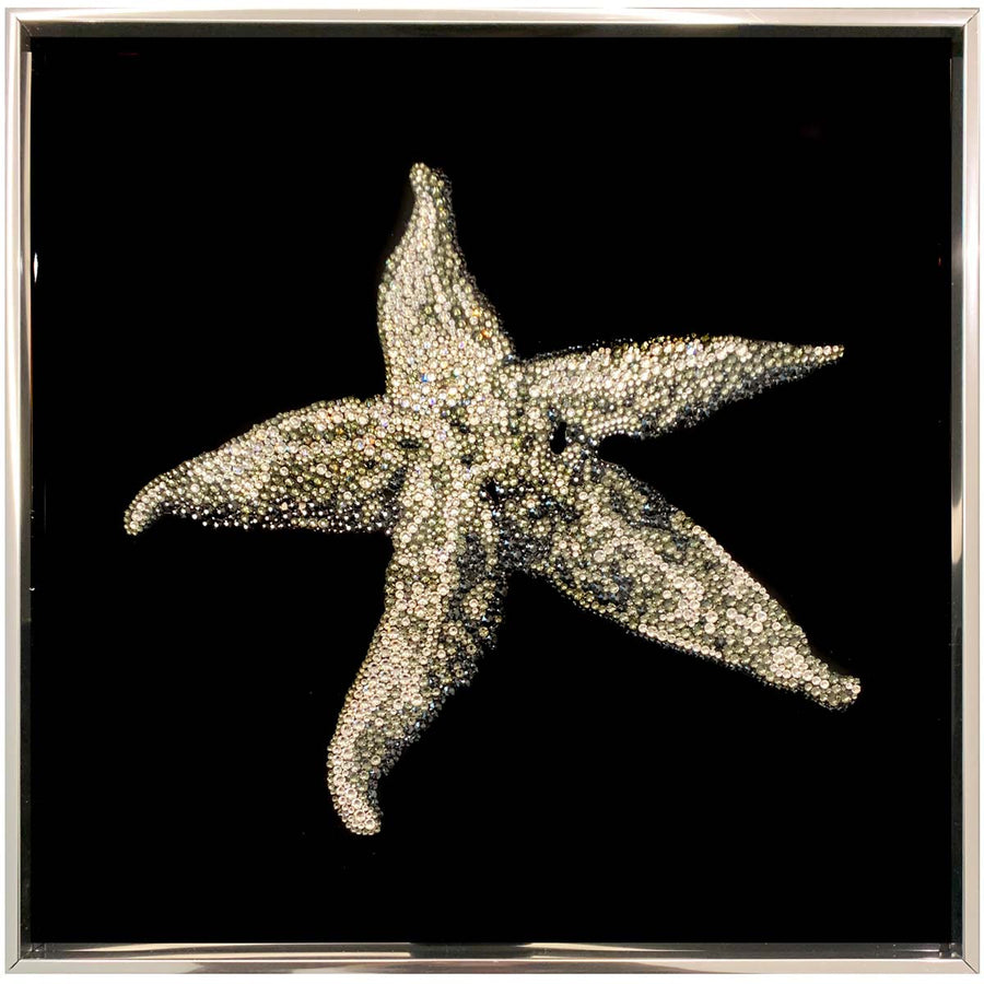 Wonderful Star (4 pieces) - 4800 Swarovski crystals on lucite acrylic paint by Diazzi Roberta - Fp Art Online
