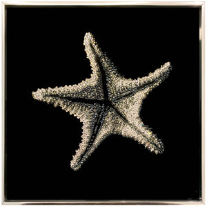 Wonderful Star (4 pieces) - 4800 Swarovski crystals on lucite acrylic paint by Diazzi Roberta - Fp Art Online